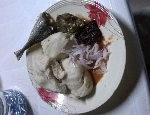 Article : Mes featurings avec les chiottes